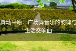 舞动平原：广场舞音乐的韵律与生活交响曲