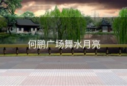 何鹏广场舞水月亮