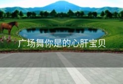 广场舞你是的心肝宝贝