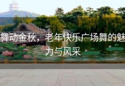 舞动金秋，老年快乐广场舞的魅力与风采