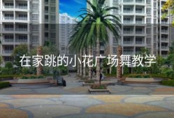 在家跳的小花广场舞教学