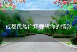 成都民族广场舞想你的情歌