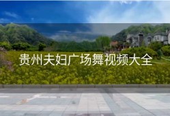 贵州夫妇广场舞视频大全
