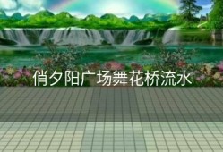 俏夕阳广场舞花桥流水