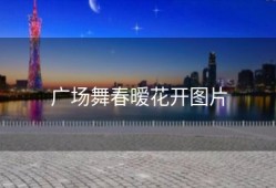 广场舞春暧花开图片