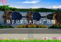 筷子兄弟与大妈pk广场舞