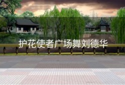 护花使者广场舞刘德华