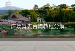 广场舞去台湾教程分解