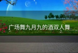 广场舞九月九的酒双人舞