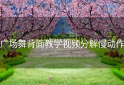 广场舞背面教学视频分解慢动作