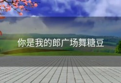 你是我的郎广场舞糖豆