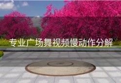 专业广场舞视频慢动作分解