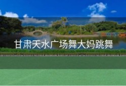 甘肃天水广场舞大妈跳舞