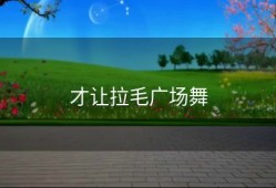 才让拉毛广场舞