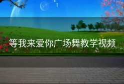 等我来爱你广场舞教学视频