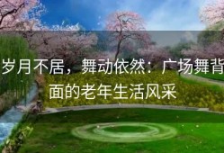 岁月不居，舞动依然：广场舞背面的老年生活风采