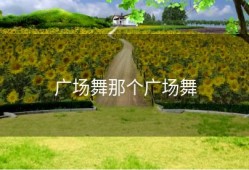 广场舞那个广场舞