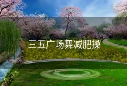 三五广场舞减肥操