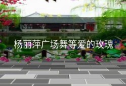 杨丽萍广场舞等爱的玫瑰