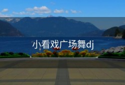 小看戏广场舞dj