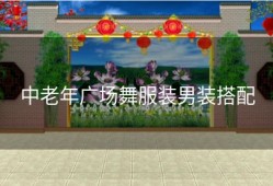 中老年广场舞服装男装搭配