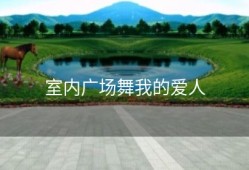 室内广场舞我的爱人