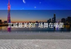 武威最美的广场舞在哪里