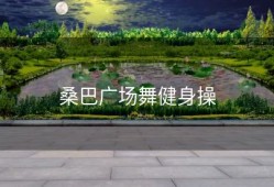 桑巴广场舞健身操