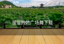 溜溜的她广场舞下载