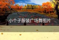 小个子服装广场舞图片