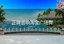 正牌音响淘宝广场舞