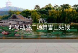 时尚动感广场舞雪山姑娘