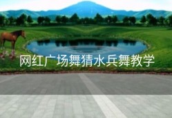 网红广场舞猜水兵舞教学