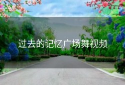 过去的记忆广场舞视频