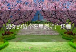 想你的每个夜里原唱广场舞