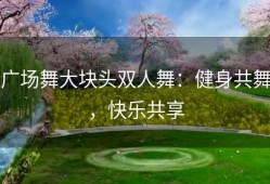 广场舞大块头双人舞：健身共舞，快乐共享