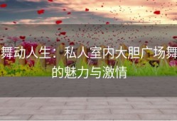 舞动人生：私人室内大胆广场舞的魅力与激情