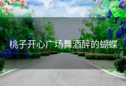 桃子开心广场舞酒醉的蝴蝶