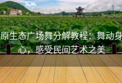原生态广场舞分解教程：舞动身心，感受民间艺术之美