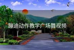 蹦迪动作教学广场舞视频