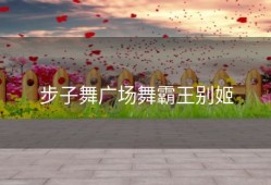 步子舞广场舞霸王别姬