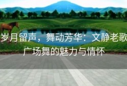 岁月留声，舞动芳华：文静老歌广场舞的魅力与情怀