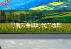 导航去金城时代广场舞