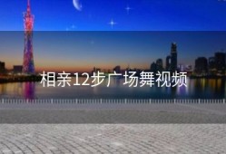 相亲12步广场舞视频
