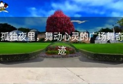 孤独夜里，舞动心灵的广场舞奇迹
