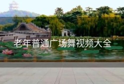 老年普通广场舞视频大全