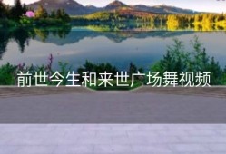 前世今生和来世广场舞视频