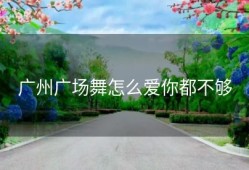广州广场舞怎么爱你都不够