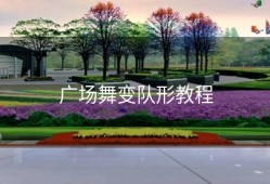 广场舞变队形教程