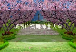 越南广场舞神曲大全